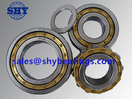 cylindrical roller bearing21